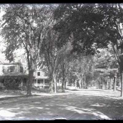 Negative, glass plate