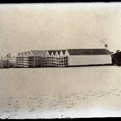 Negative, glass plate