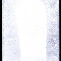 Negative, glass plate