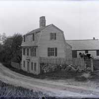 Negative, glass plate