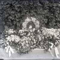 Negative, glass plate