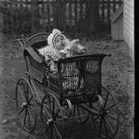 Negative, glass plate