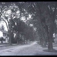 Negative, glass plate