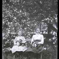 negative, glass plate
