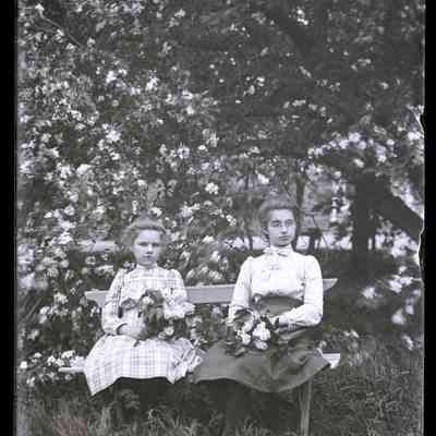 negative, glass plate