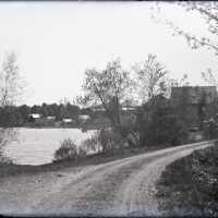 Negative, glass plate