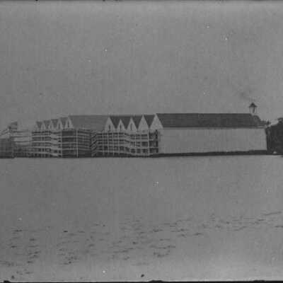Negative, glass plate