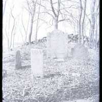 Negative, glass plate