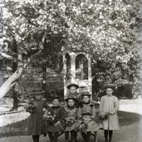 Negative, glass plate