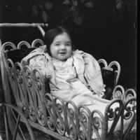 Negative, glass plate
