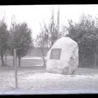 Negative, glass plate