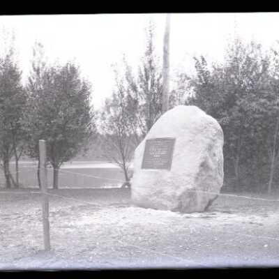 Negative, glass plate