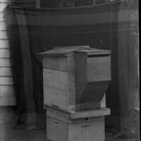 Negative, glass plate