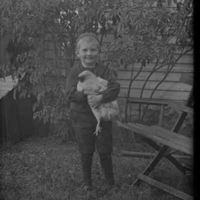 Negative, glass plate