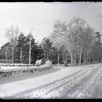 Negative, glass plate