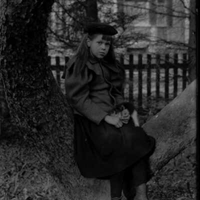 Negative, glass plate
