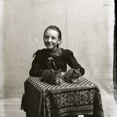 Negative, glass plate