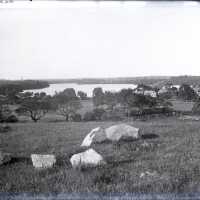 Negative, glass plate