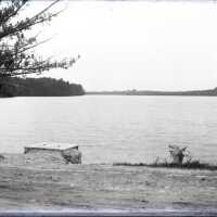Negative, glass plate