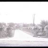 Negative, glass plate