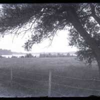 Negative, glass plate