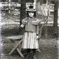 Negative, glass plate