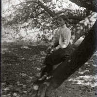 Negative, glass plate