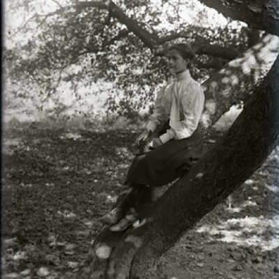 Negative, glass plate