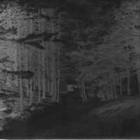 Negative, glass plate