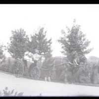 Negative, glass plate