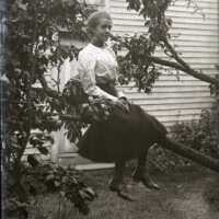 Negative, glass plate