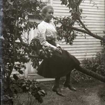 Negative, glass plate