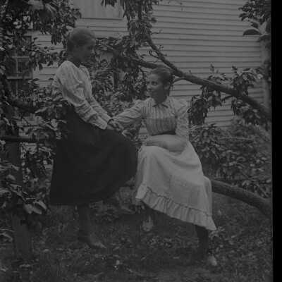 Negative, glass plate