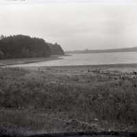 Negative, glass plate