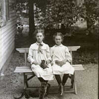 Negative, glass plate