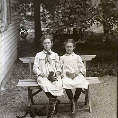 Negative, glass plate