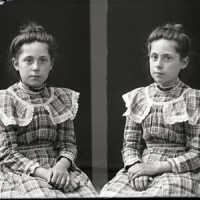Negative, glass plate