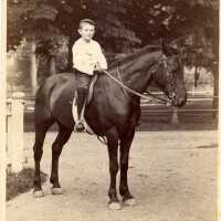 Card, cabinet