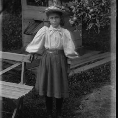 Negative, glass plate