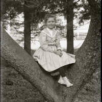 Negative, glass plate