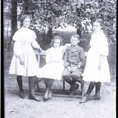 Negative, glass plate