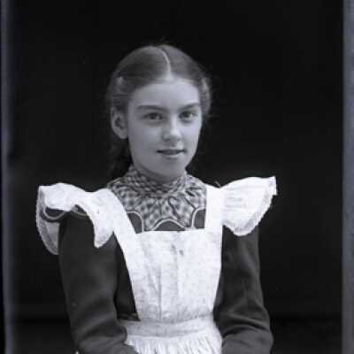 Negative, glass plate