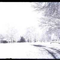 Negative, glass plate