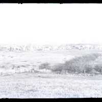 Negative, glass plate