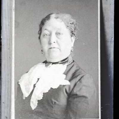 Negative, glass plate