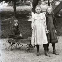Negative, glass plate