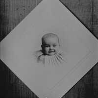Negative, glass plate