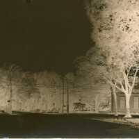 Negative, glass plate