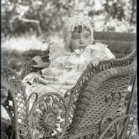 Negative, glass plate