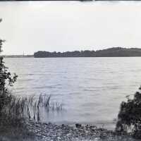 Negative, glass plate